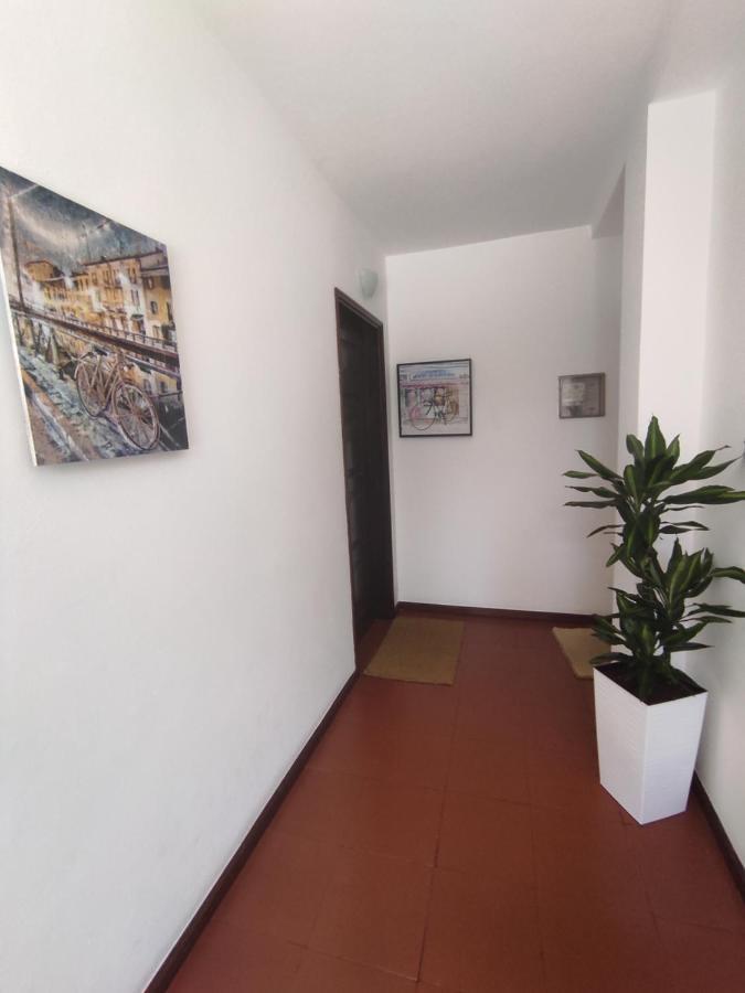 Apartamentos Cimo De Vila Vouzela Buitenkant foto